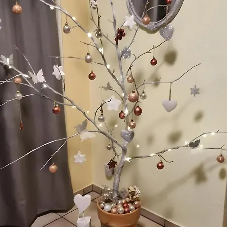 Storchenallee Burg (Dithmarschen)